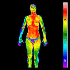 Description: Description: Image result for image infrared person