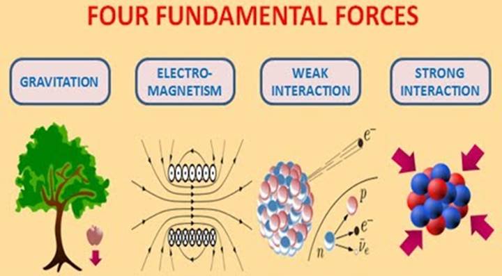 Image result for four fundamental forces of nature